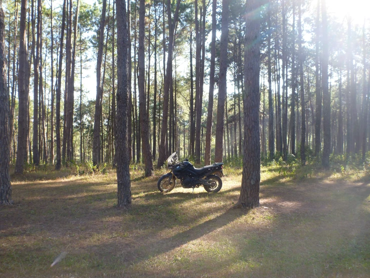 a motorcycle sitting in the middle of some trees