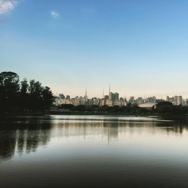 a view of the city skyline, water and trees
