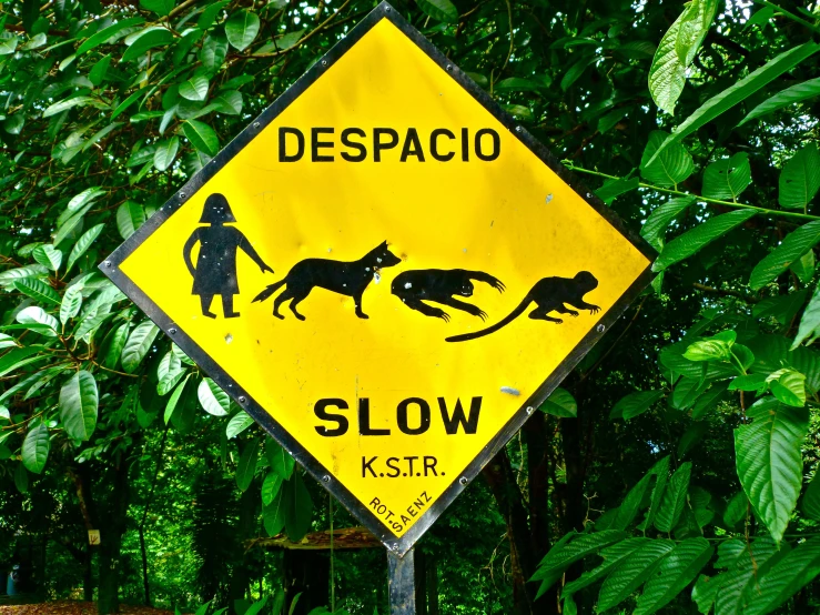 a yellow street sign indicating people crossing and dogs chasing them