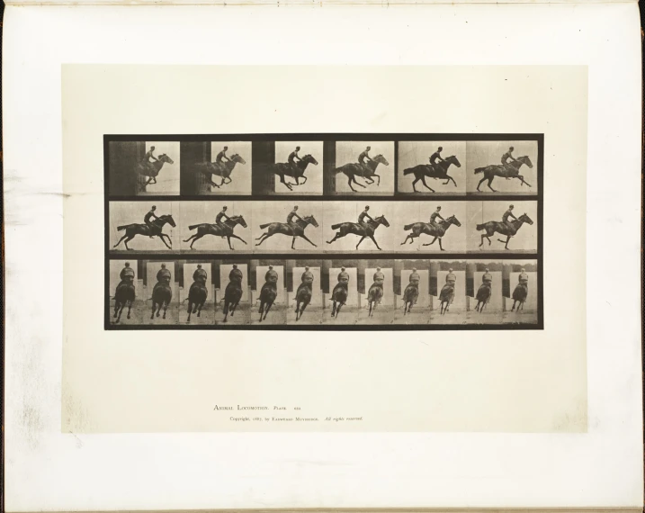 a group of black and white drawings of horses on track