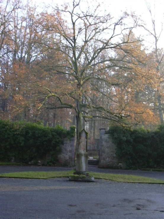 there is a small stone tree with a bench next to it