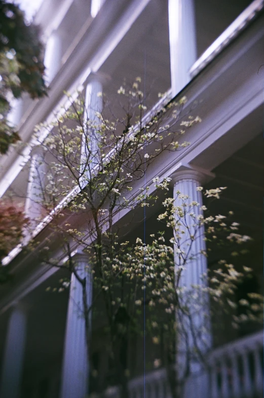 an apartment building with flowers outside it