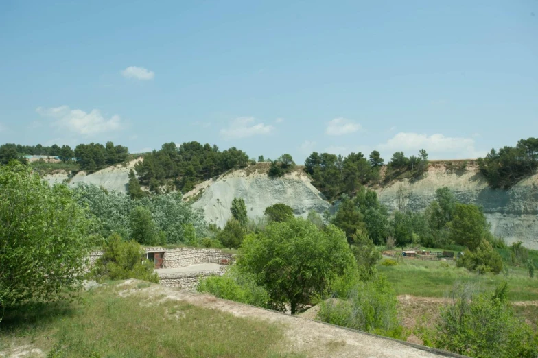 there are some trees and bushes along a hillside