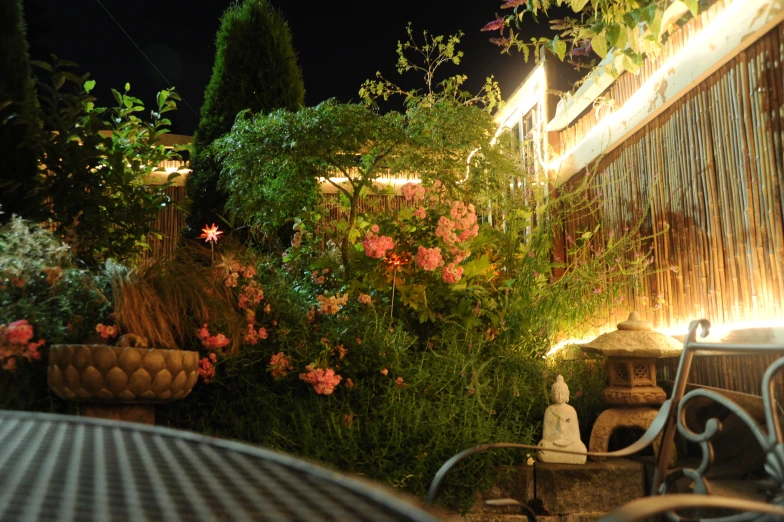 the outdoor table and chair are full of plants