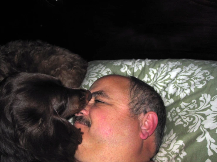 a man laying in bed next to a dog