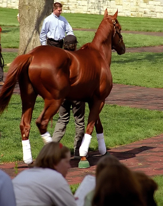 a man leading a horse down a path