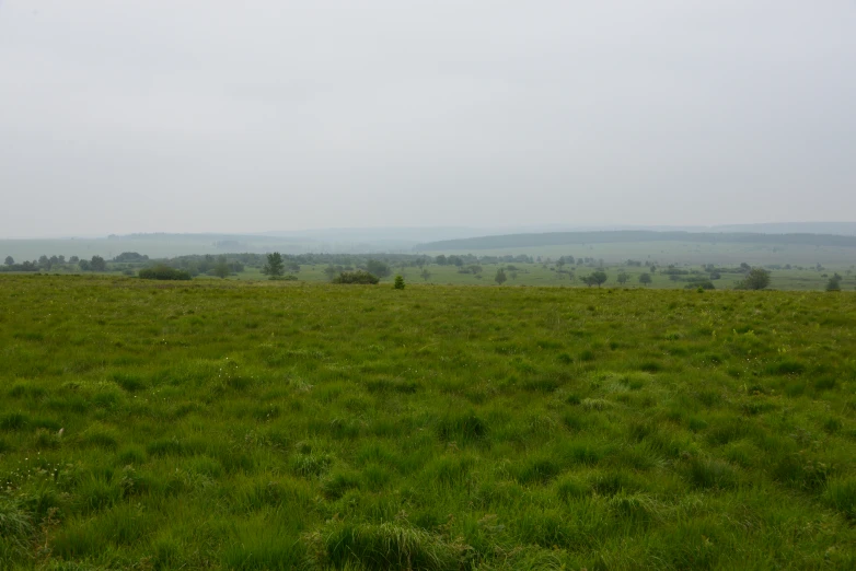 a grassy field that has an overcast sky