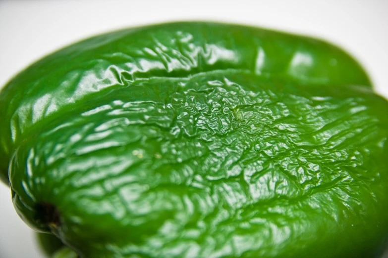 the underside of green vegetables on a white surface