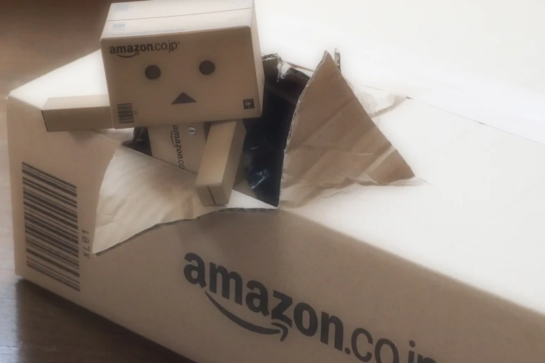 a cardboard box with a face taped around the neck and inside