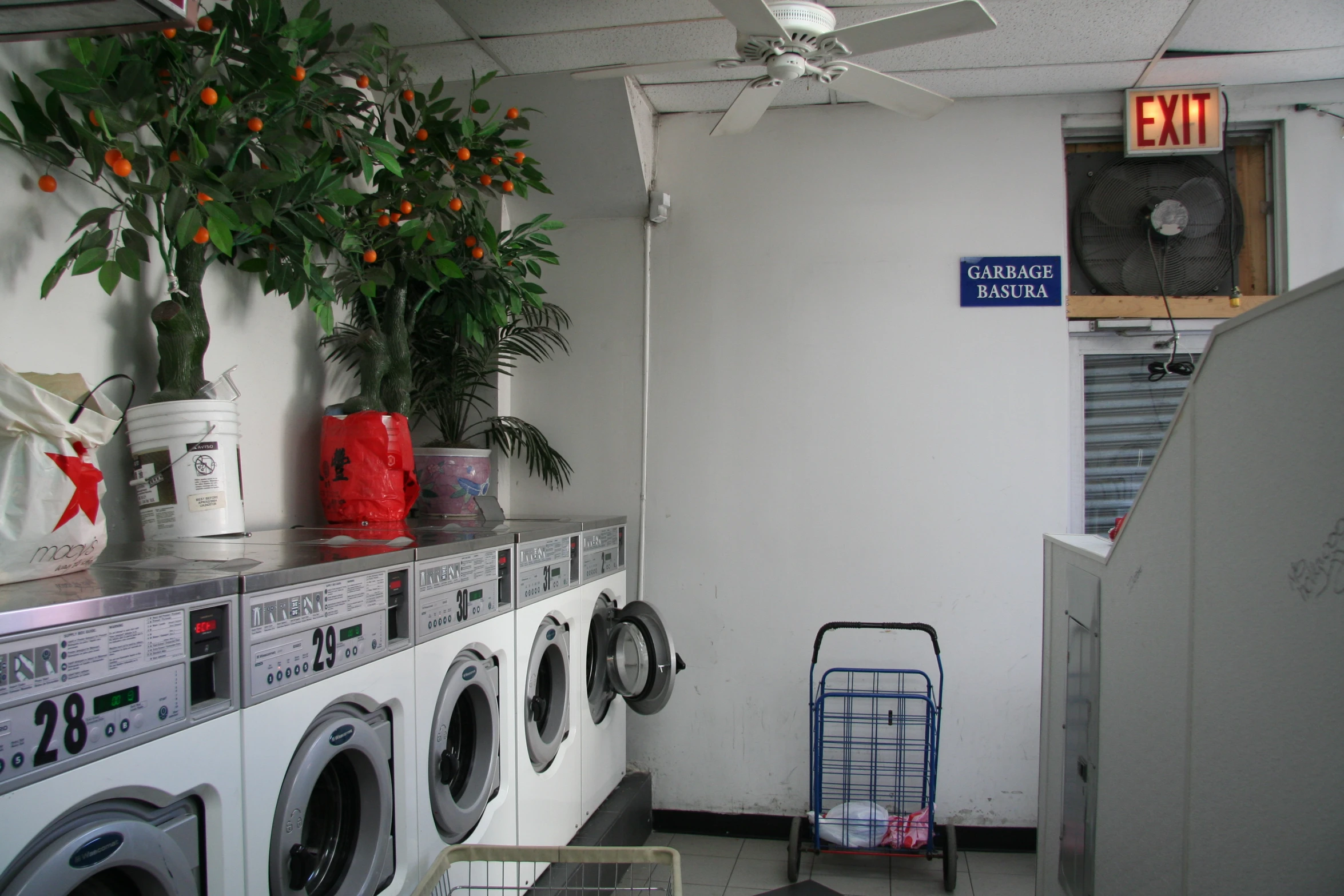 a large washer in a room with several plants