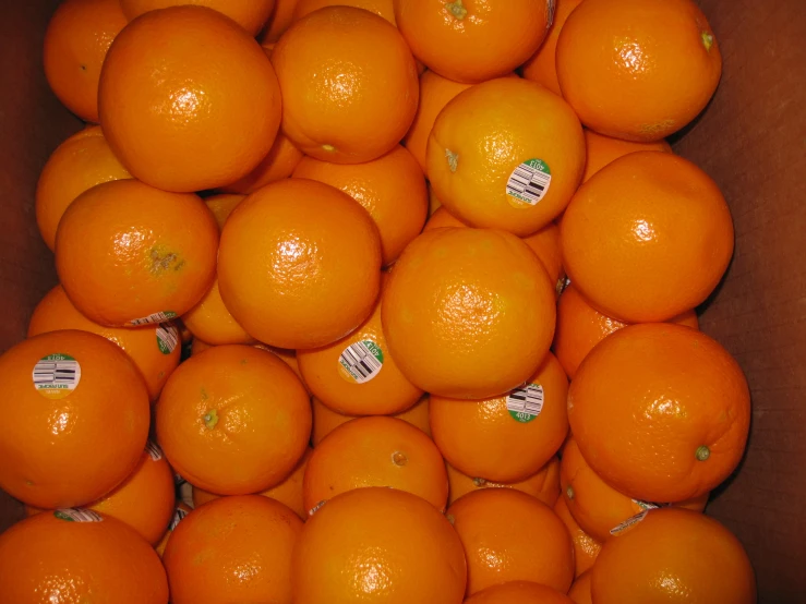 the box contains dozens of oranges and is ready to be picked