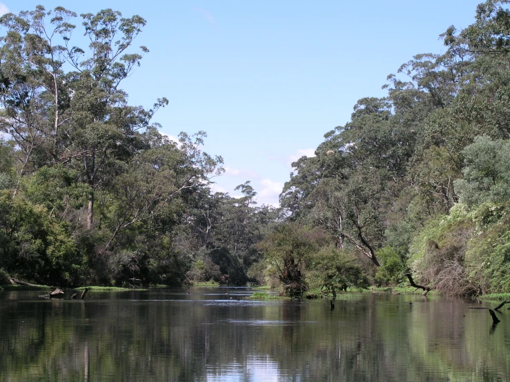 the view down a river on the right side