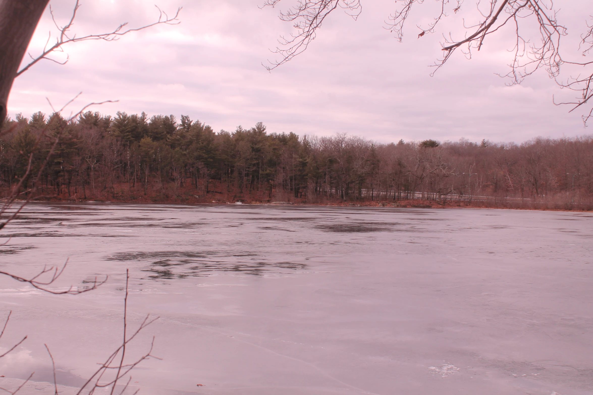 a body of water with trees and grass near by