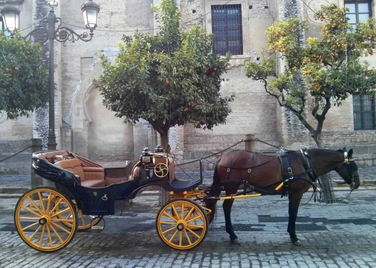 two horse drawn carriages on an old cobblestone street