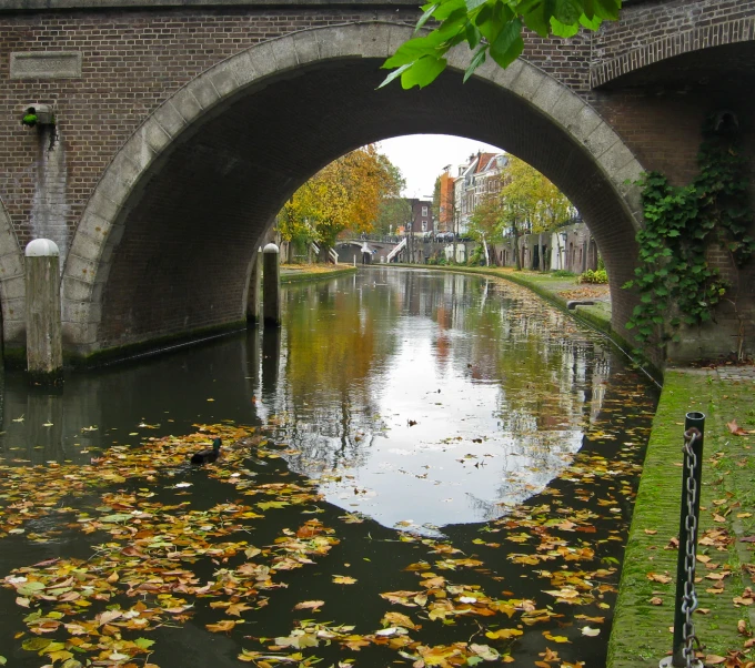 an arched cement structure by a canal with autumn leaves on the water