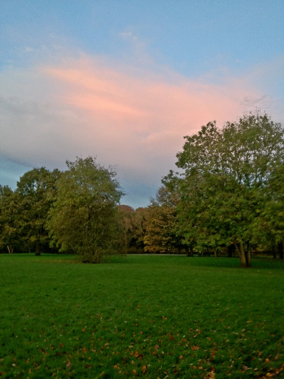 a bench in the middle of a field on a cloudy day