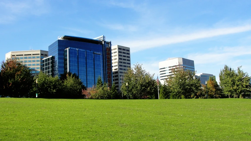 two buildings in the background behind grass