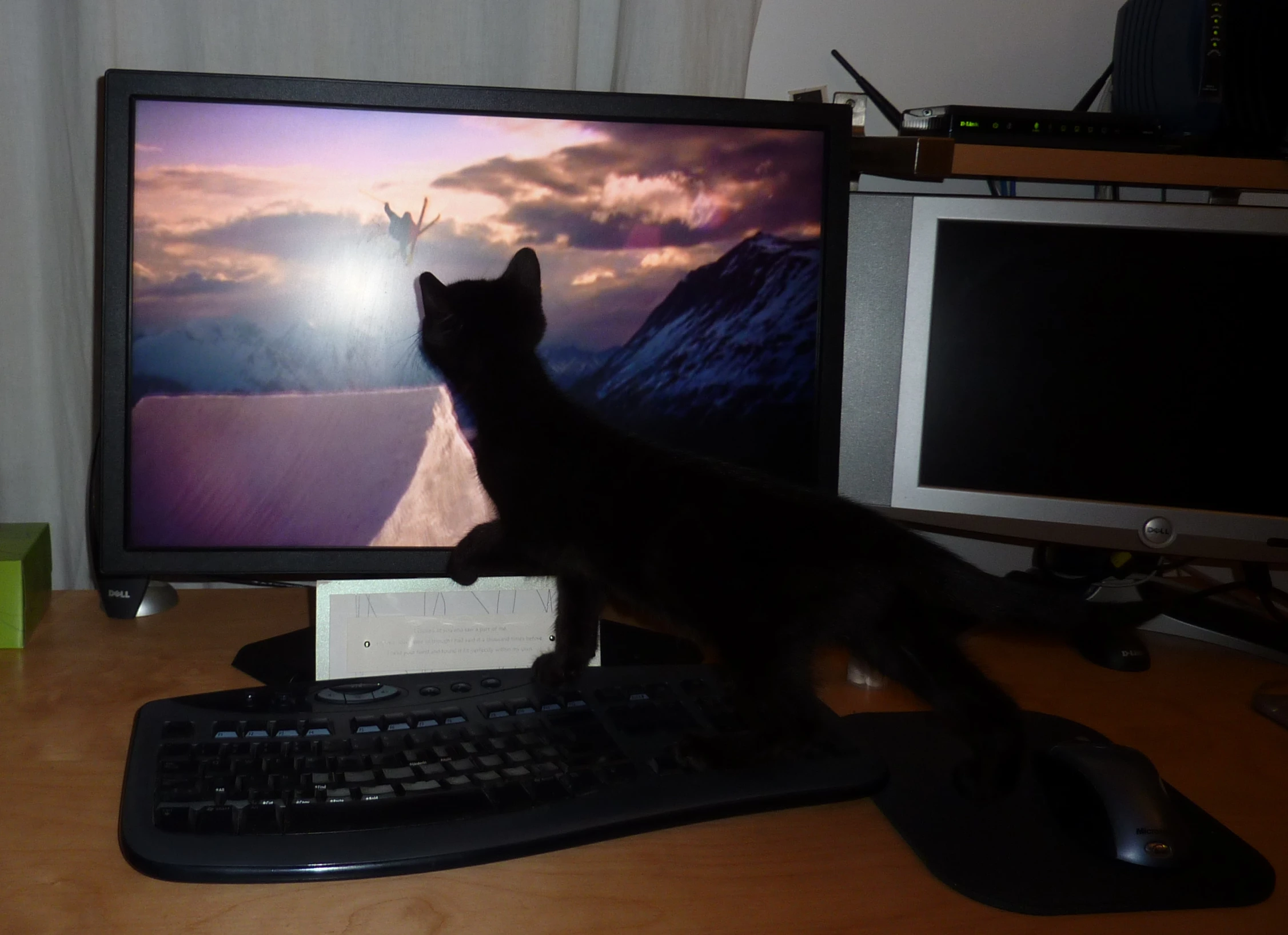 black cat stretching its back on a keyboard by the computer