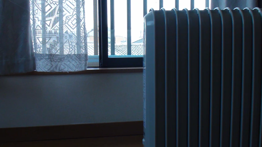 the radiator next to the window is empty