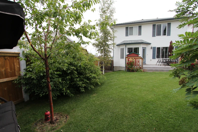 a house on the grass with a fire hydrant in front