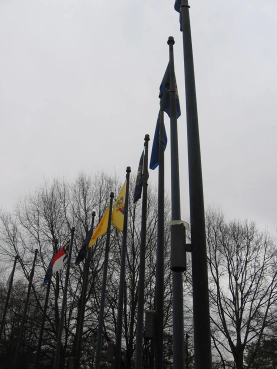 a tall street sign with several different colored flags