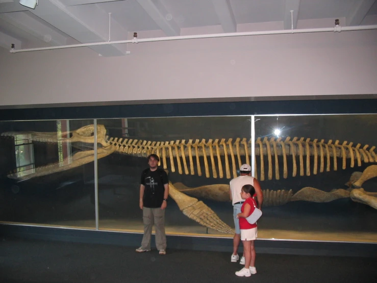 two people standing in front of a display of an animal skeleton