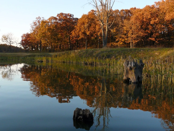 a lake surrounded by lots of trees that are turning gold