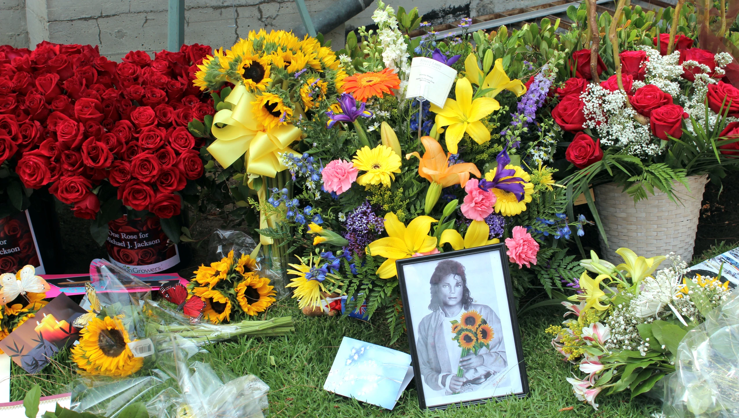 flowers and pictures lying on the ground