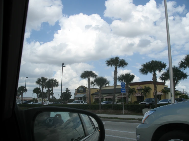 some palm trees parked along the side of the road