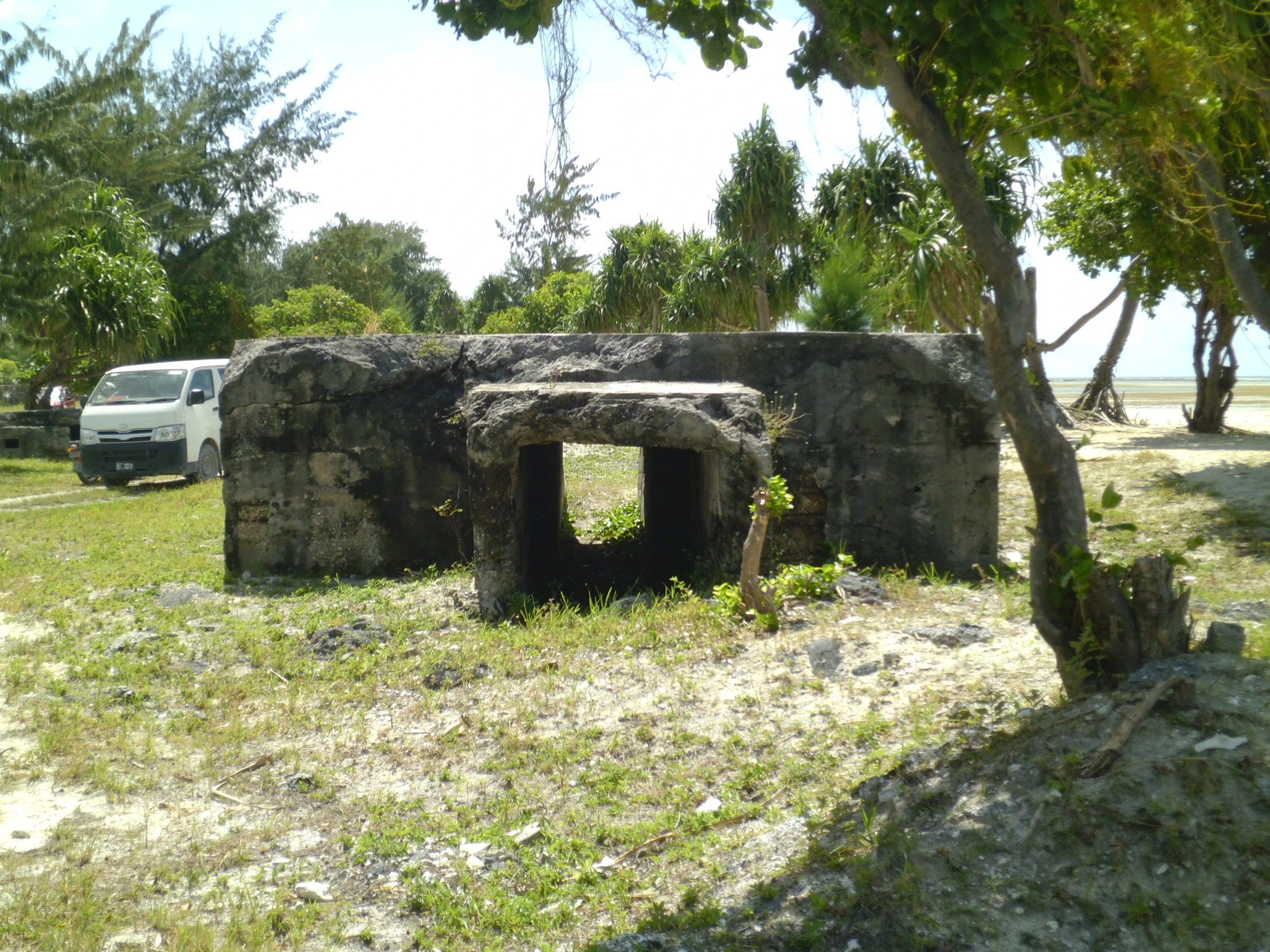 there is an abandoned stone building near a tree