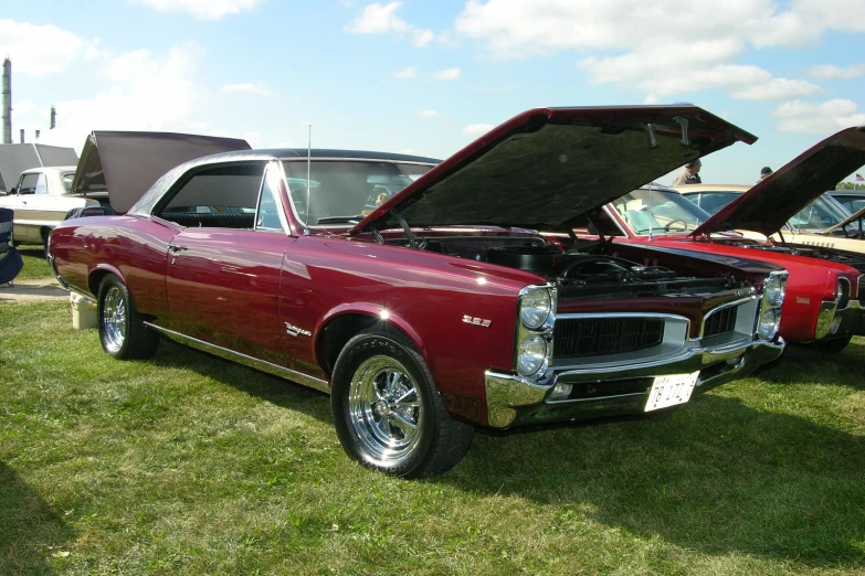 some old muscle cars sitting on the grass