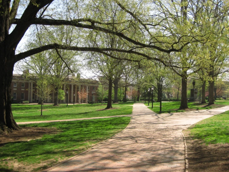 trees and grass along a path leading to a building