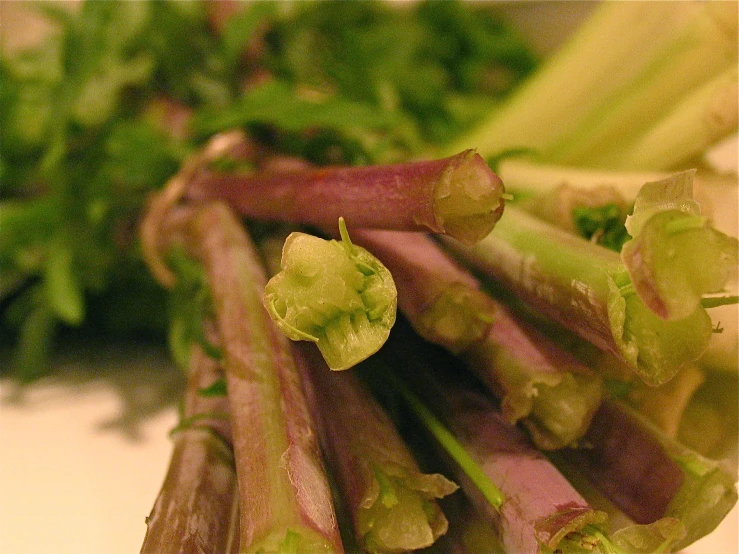 a close up of a bunch of food on a table