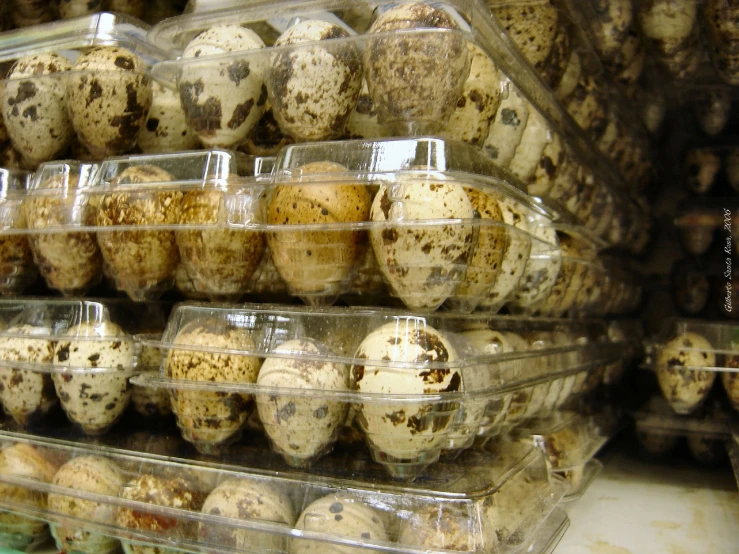 a large pile of trays of eggs sitting on a shelf