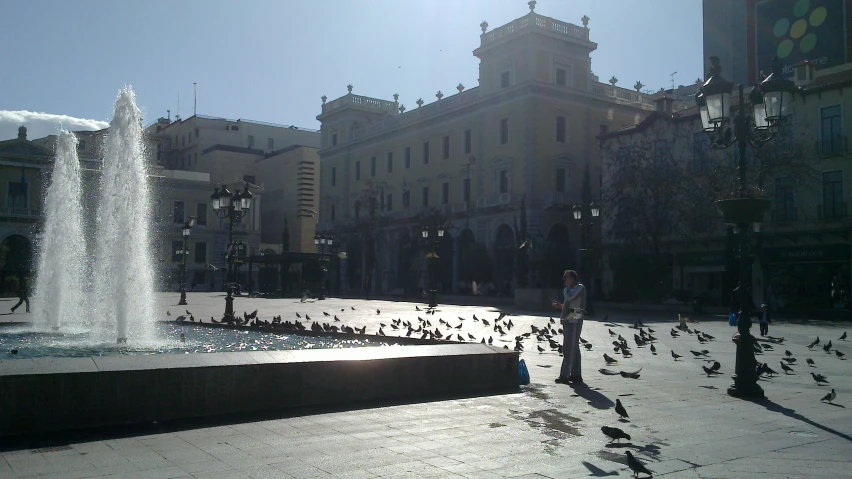 many birds are sitting on the ground by the fountains