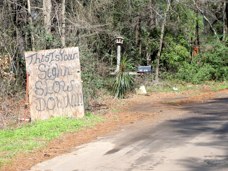 graffiti on wooden sign near country road in forest