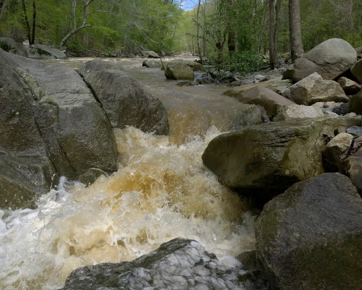 a rock creek surrounded by boulders and a forest