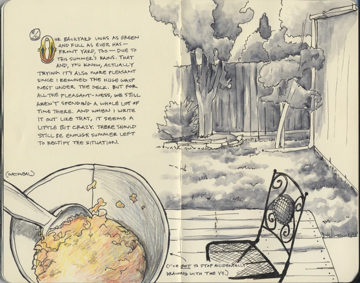 a page in the book is open and a drawing shows a bowl of food with water on it