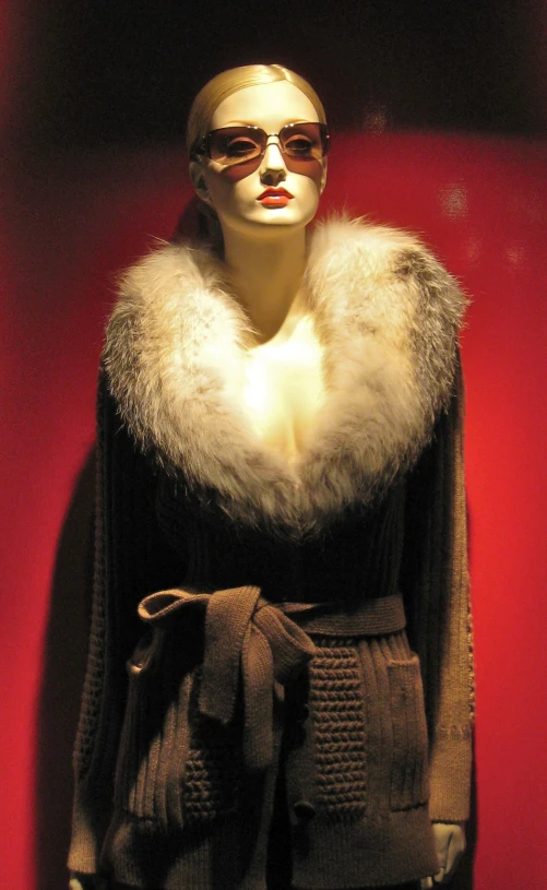 a woman's coat and fur collar on display