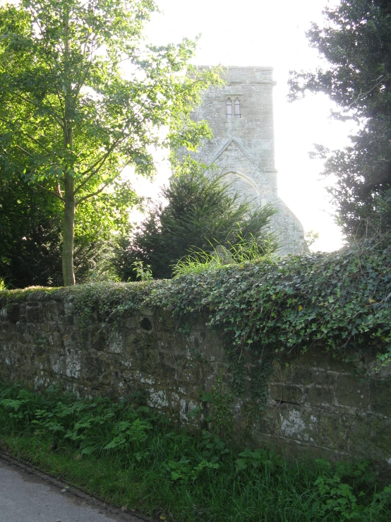 an old stone fence and green vines cover the side of the street