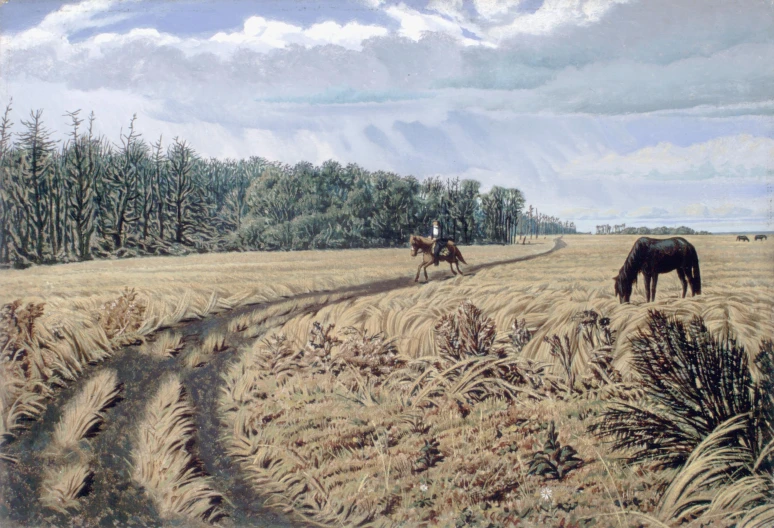 horses in an open field walking towards the camera