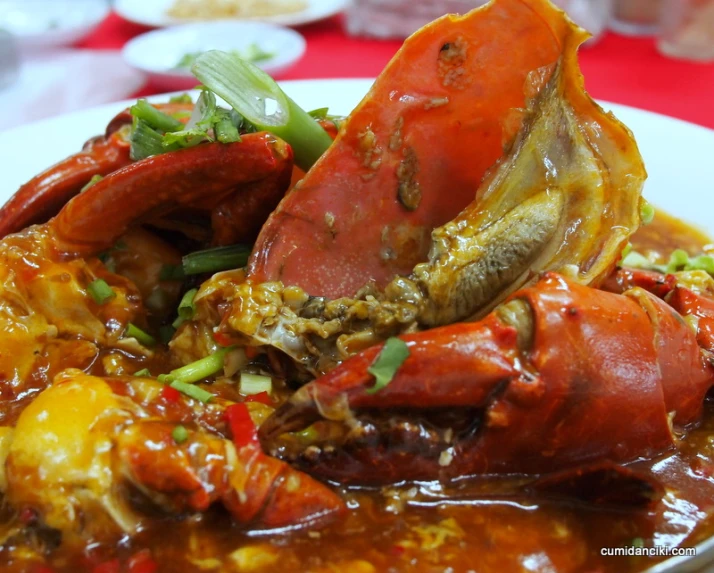 a plate full of steamed lobsters and stew