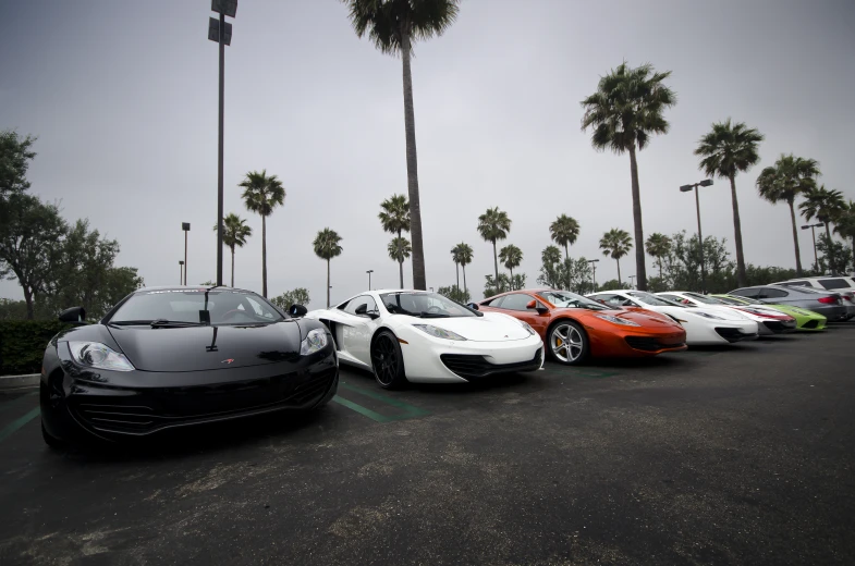 the row of cars is parked near many palm trees