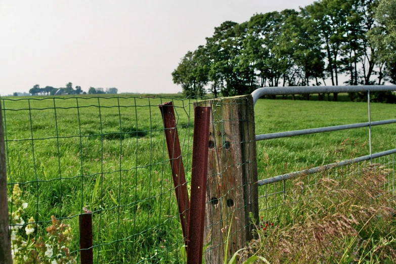 there is a field behind a fence that appears to be overgrown