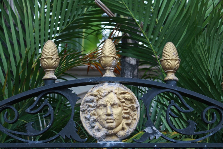 a wrought iron gate in front of palm trees