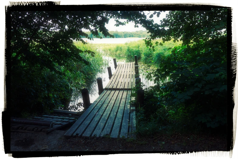 wooden bridge crossing water and trees in distance