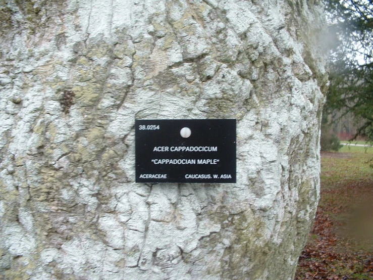 the plaque on the rock is showing its significance