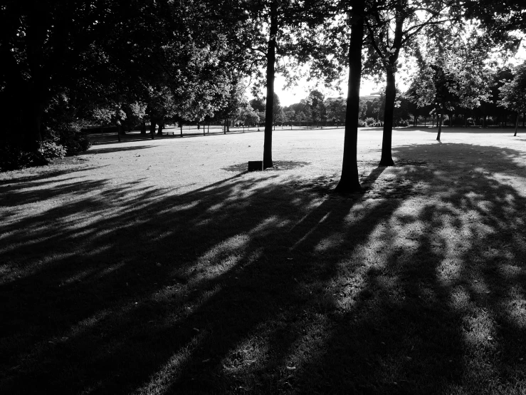 black and white image of a park bench and trees