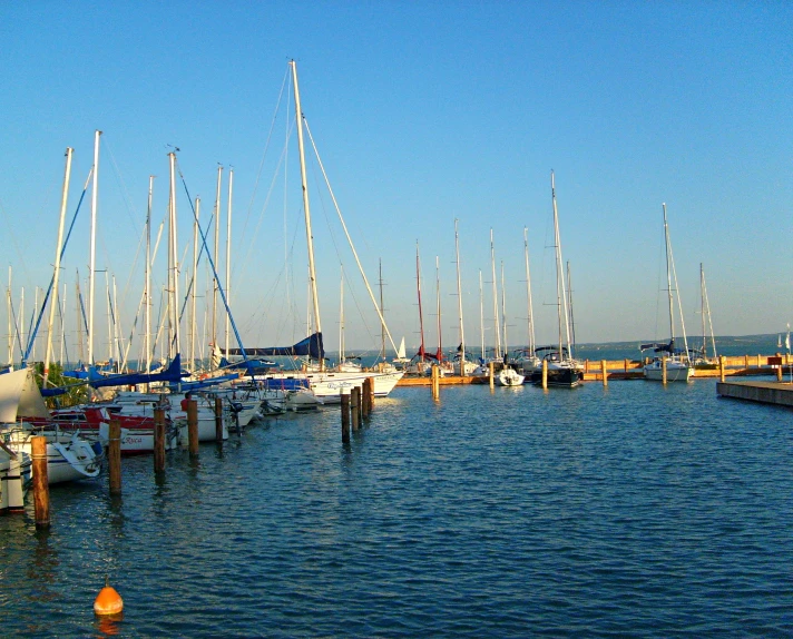 many sailboats are parked in the water