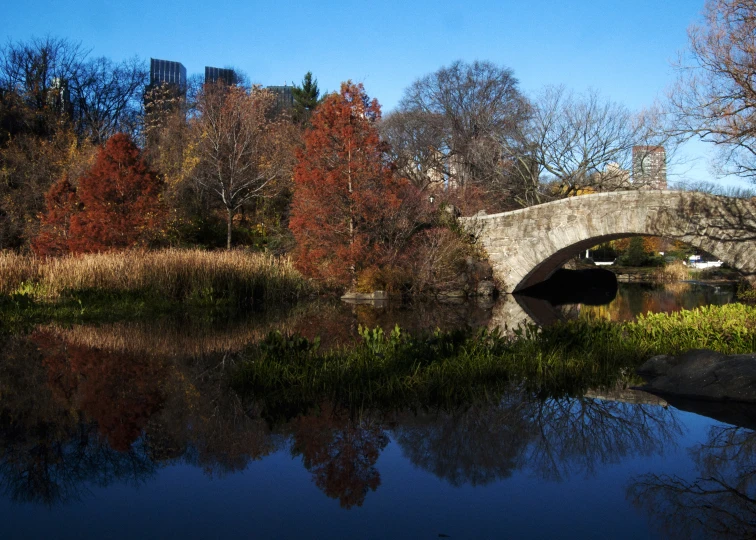 a bridge over water surrounded by trees